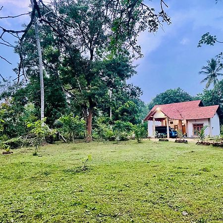 The Eco-Lodge 더 에코-롲지 Maho Exterior foto