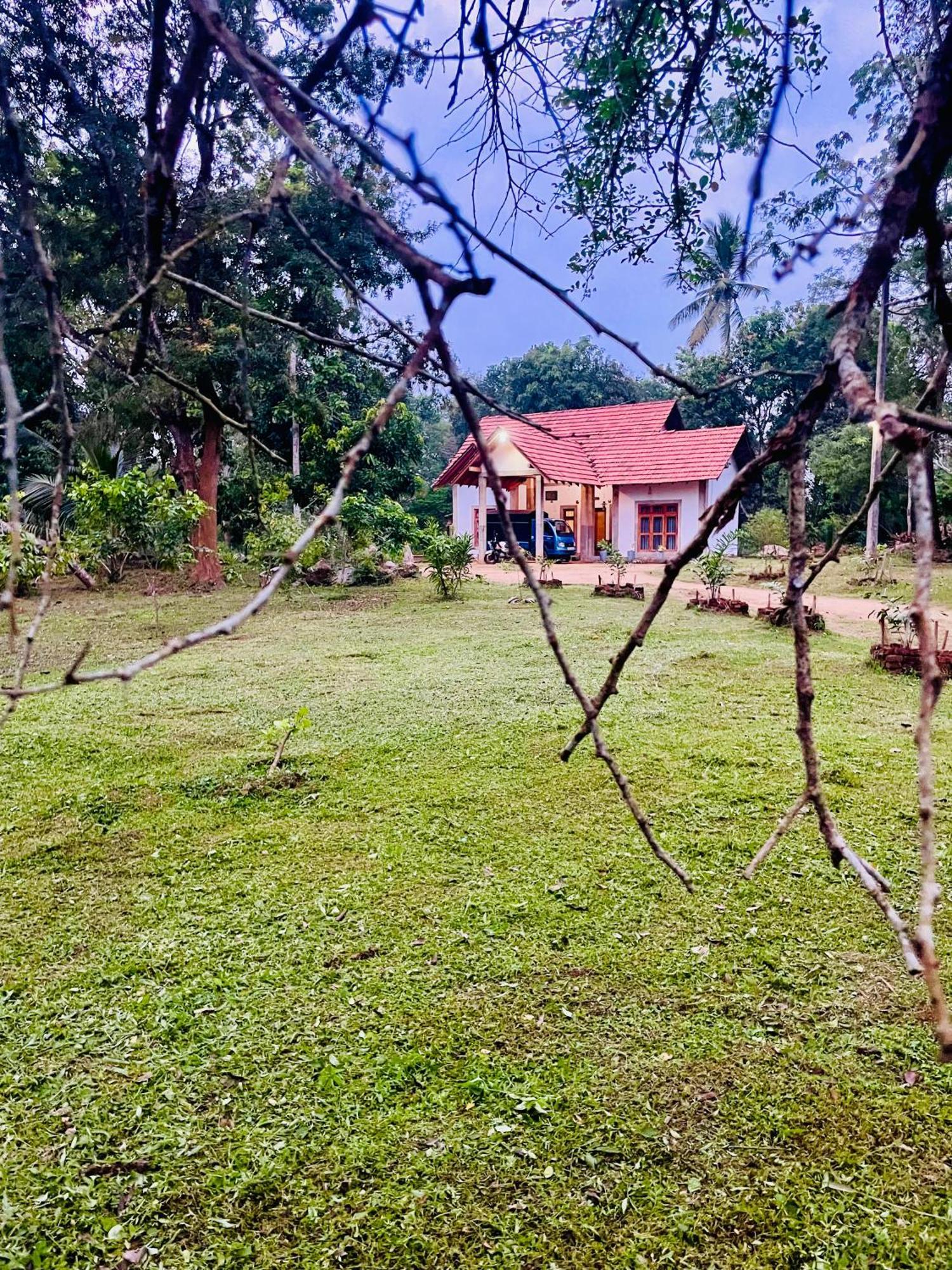 The Eco-Lodge 더 에코-롲지 Maho Exterior foto